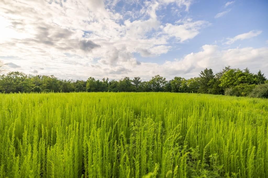 Lot 6 Timber Ridge Drive — photo 22