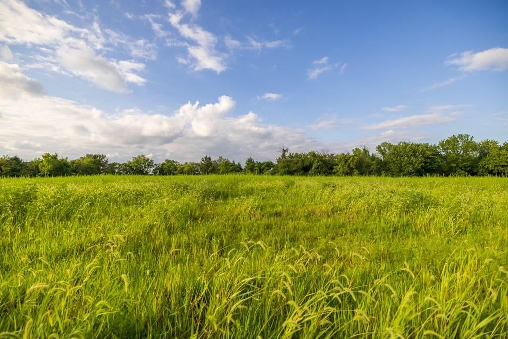 Lot 6 Timber Ridge Drive — photo 23
