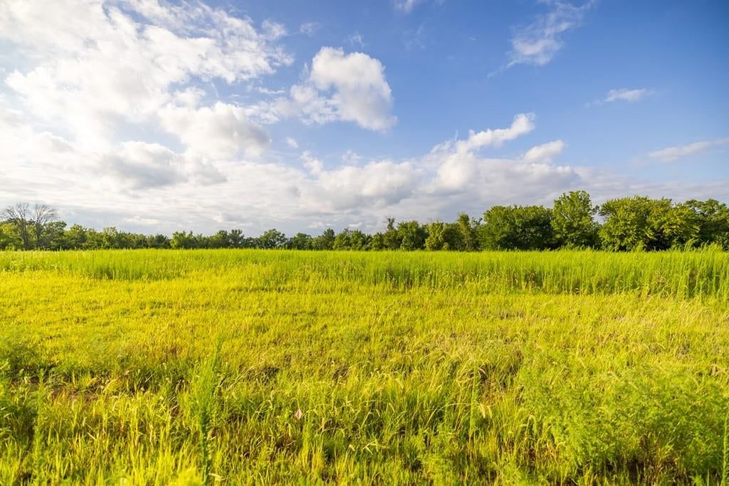 Lot 6 Timber Ridge Drive — photo 25