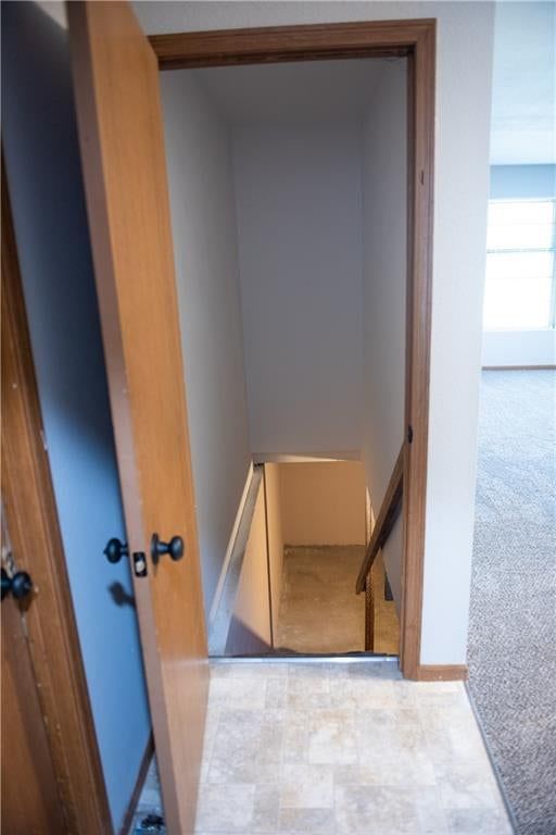 9805 View High Drive — photo 19