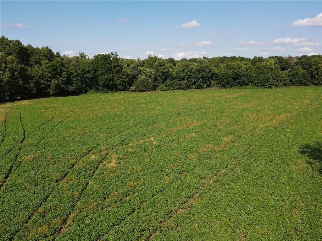 S Boardman Road, Pleasant Hill, MO: listing photo 3