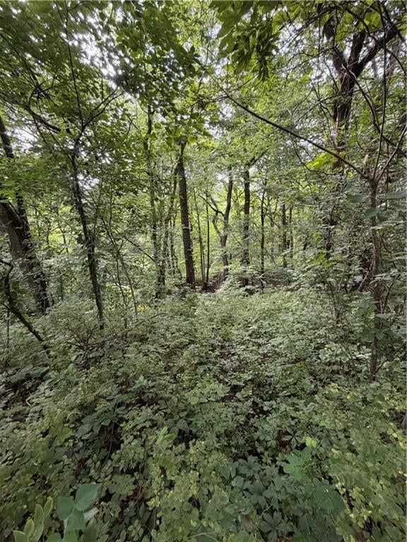 954 Tioga Rd — photo 49
