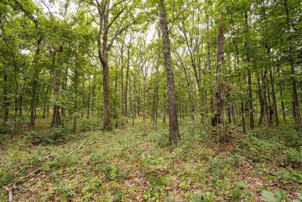 0000 Tract 1 97 Highway — photo 11