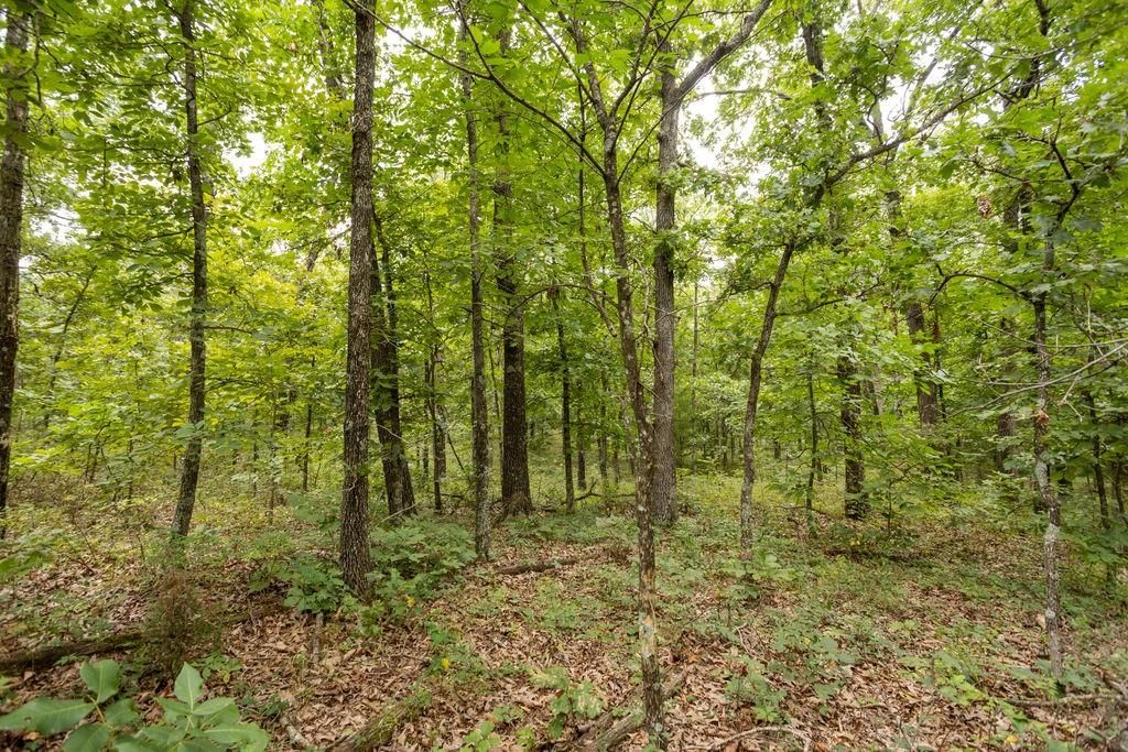 0000 Tract 1 97 Highway — photo 12