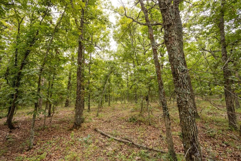 0000 Tract 1 97 Highway — photo 15