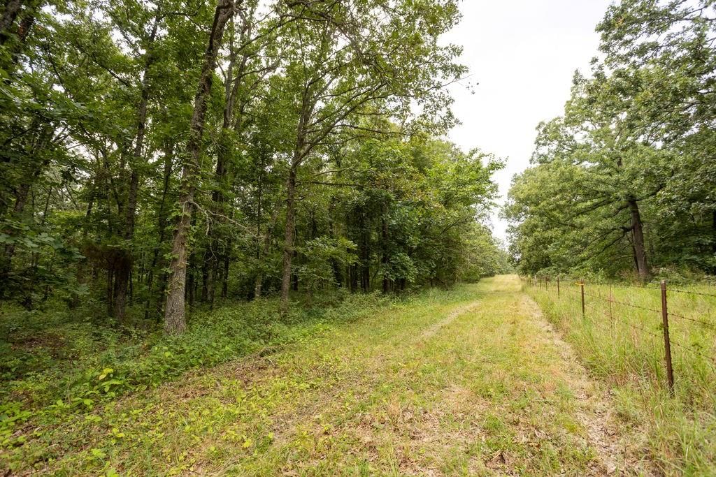 0000 Tract 1 97 Highway — photo 17