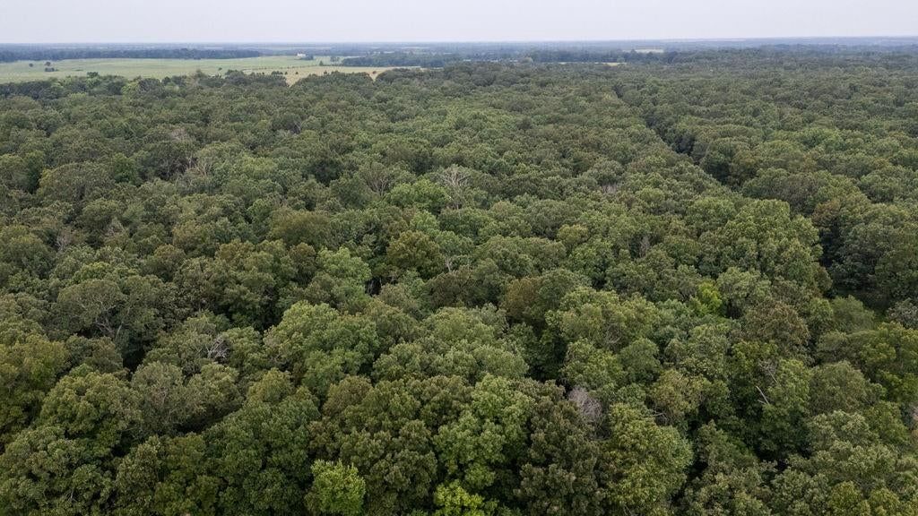 0000 Tract 1 97 Highway — photo 31