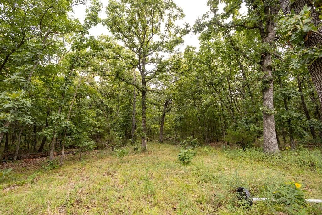 0000 Tract 2 97 Highway — photo 26