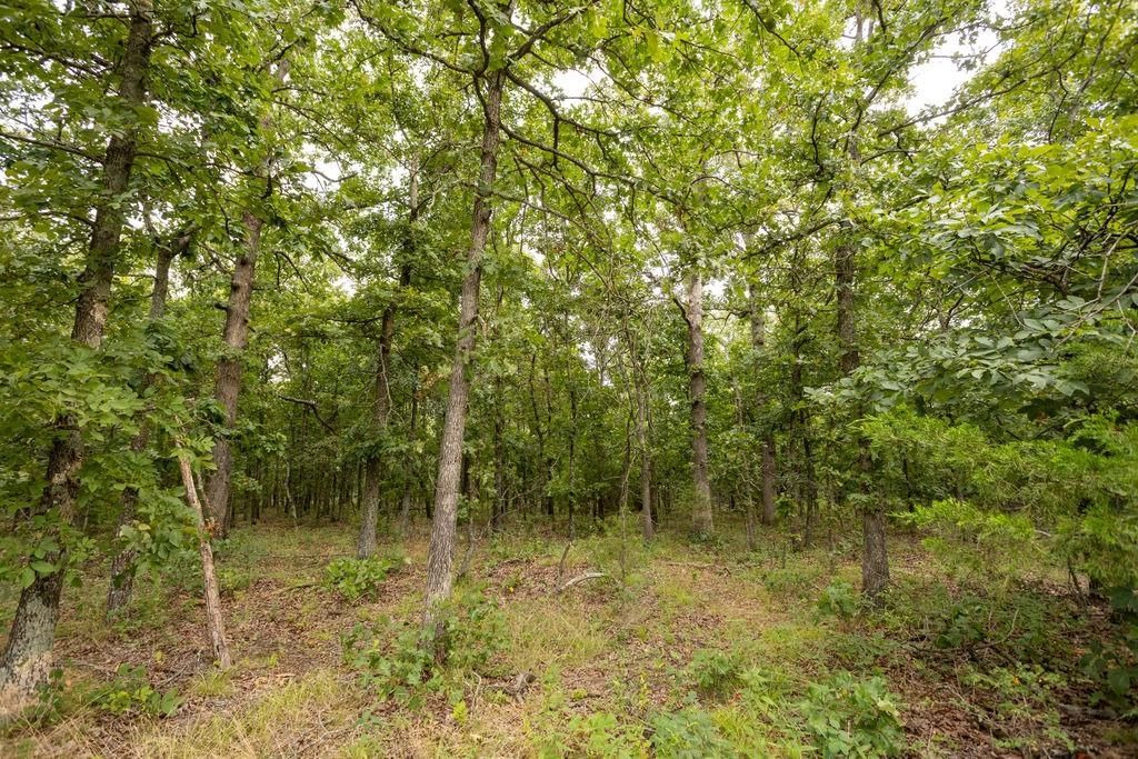0000 Tract 2 97 Highway — photo 28