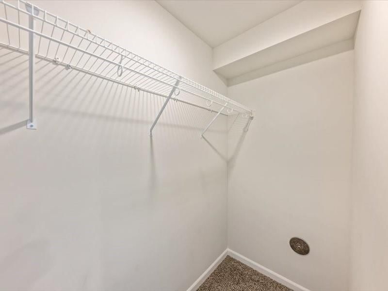 817 Shane Court — photo 21