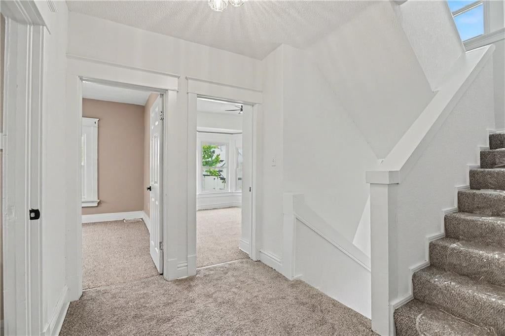 2531 Olive Street — photo 32