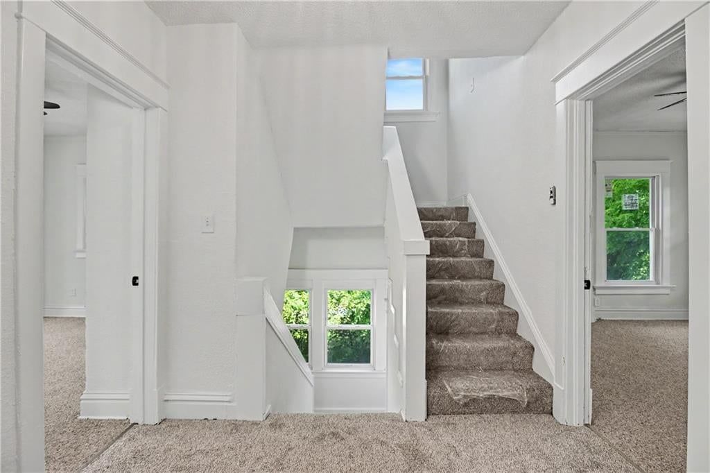 2531 Olive Street — photo 33