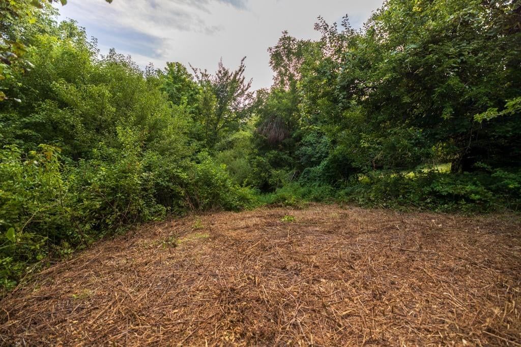 30805 W Ryan Road — photo 25