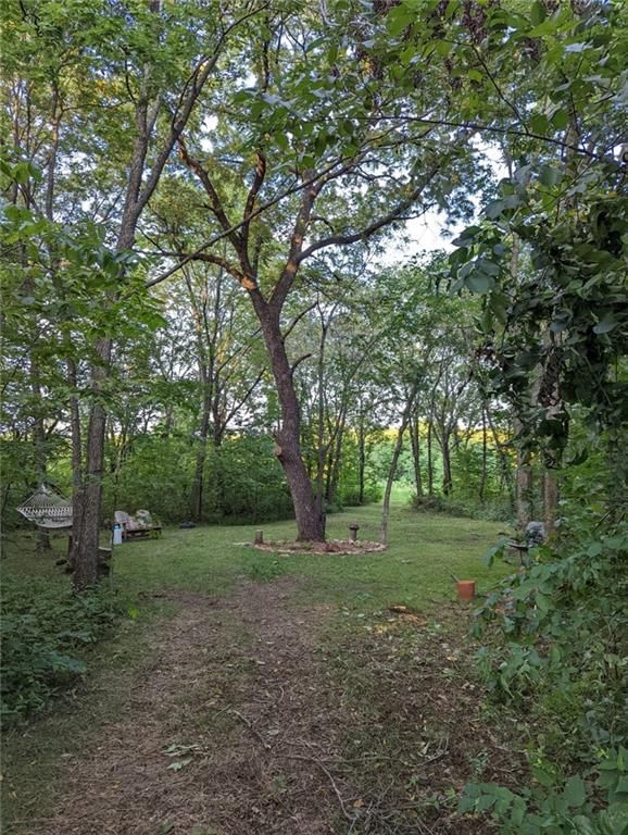 11606 E 355th Street, Drexel, MO: listing photo 2