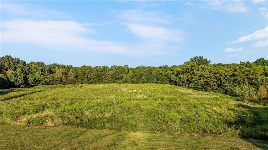 Photo 32 of 64 - 11606 E 355th Street, Drexel, MO 64742