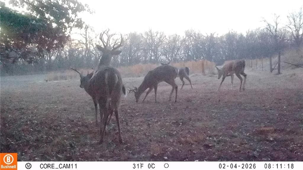 Photo 63 of 64 - 11606 E 355th Street, Drexel, MO 64742