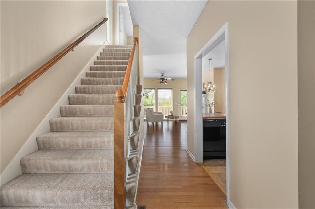 7414 McCoy Street — photo 4