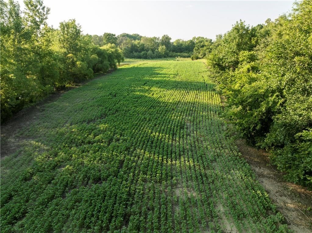 0000 Hatchell Road — photo 12