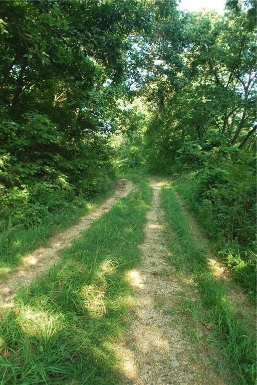 0000 Hatchell Road — photo 18