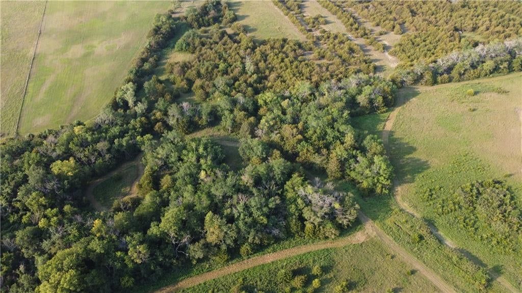 000 Texas Road — photo 17
