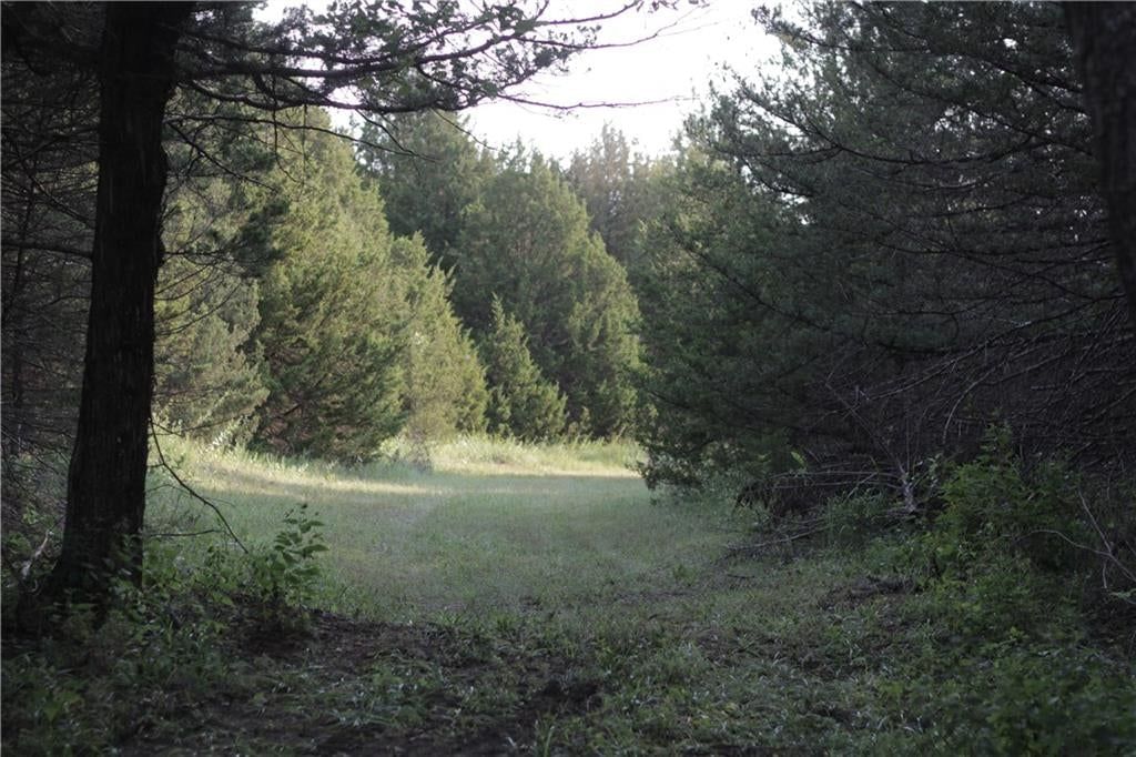 000 Texas Road — photo 30