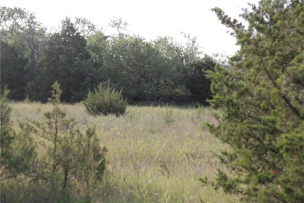 000 Texas Road — photo 31