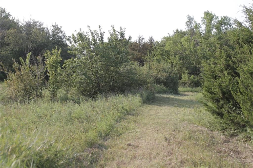 000 Texas Road — photo 32