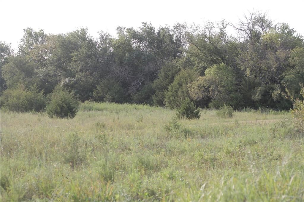 000 Texas Road — photo 33