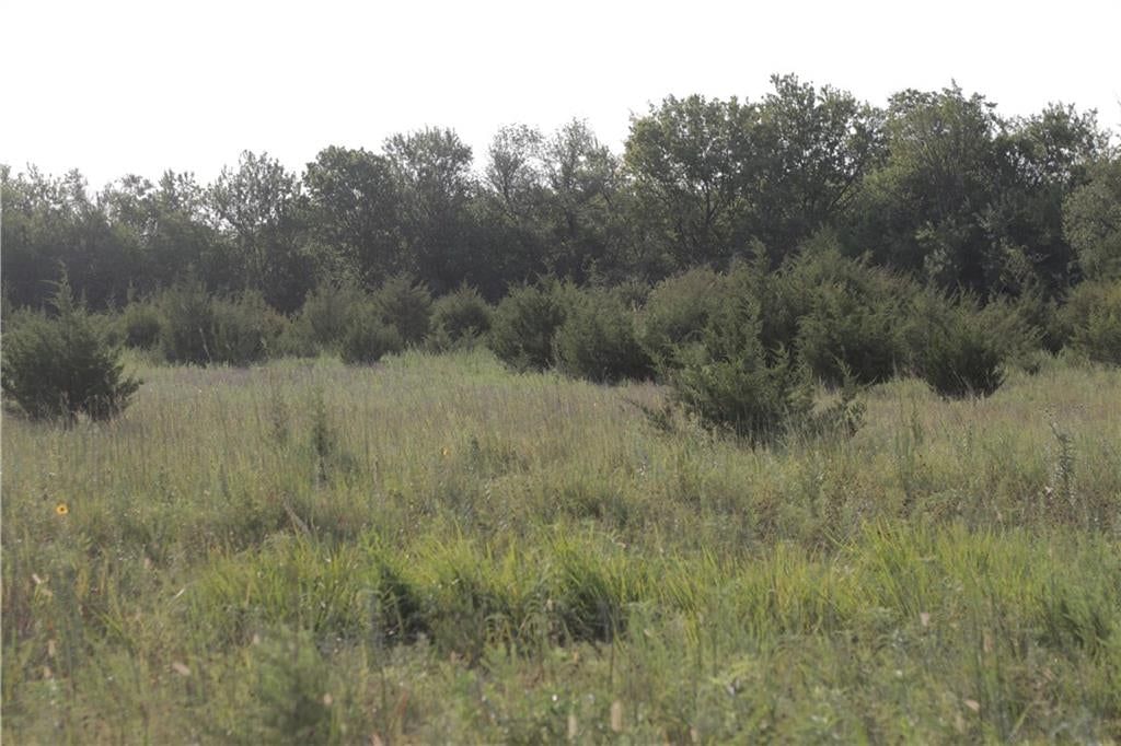 000 Texas Road — photo 34