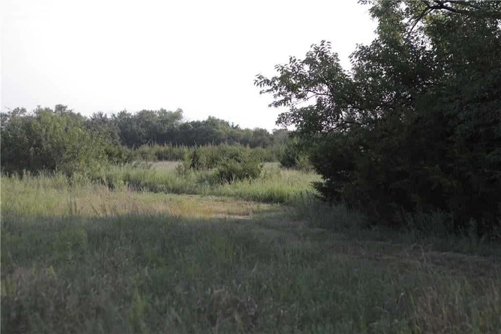 000 Texas Road — photo 35
