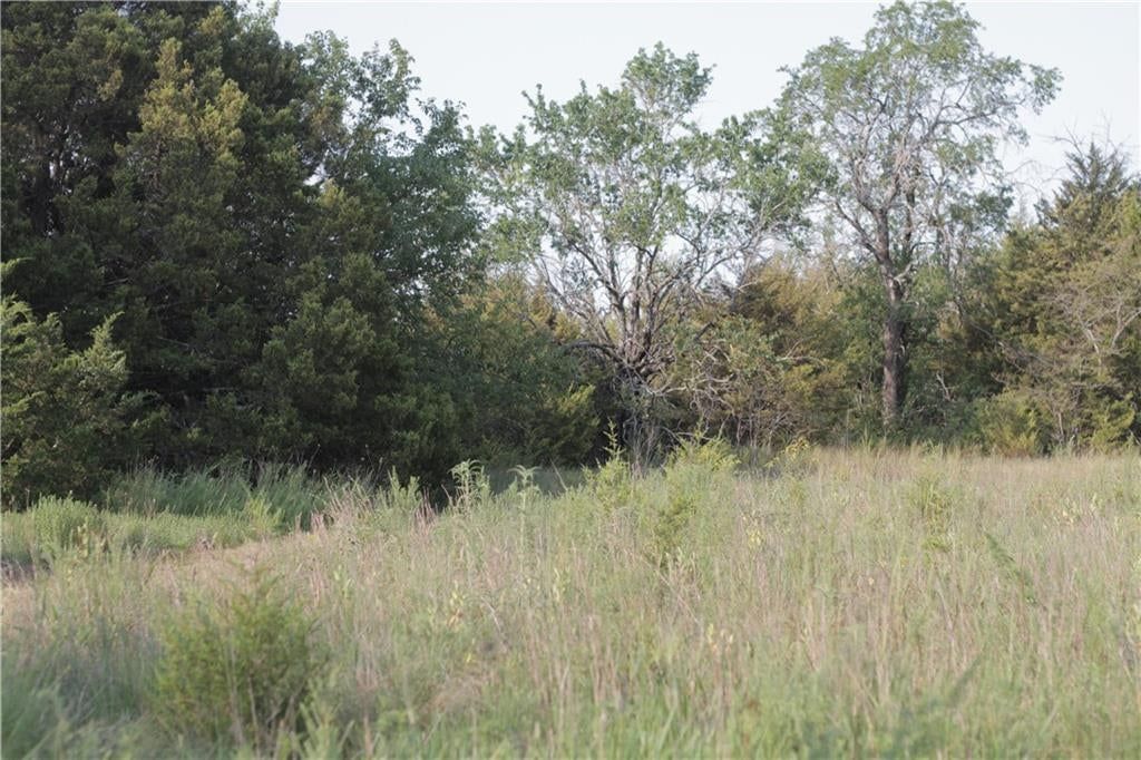 000 Texas Road — photo 36