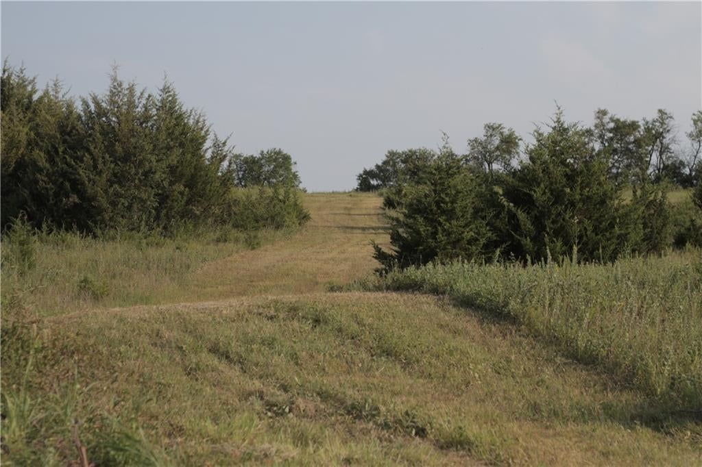 000 Texas Road — photo 37