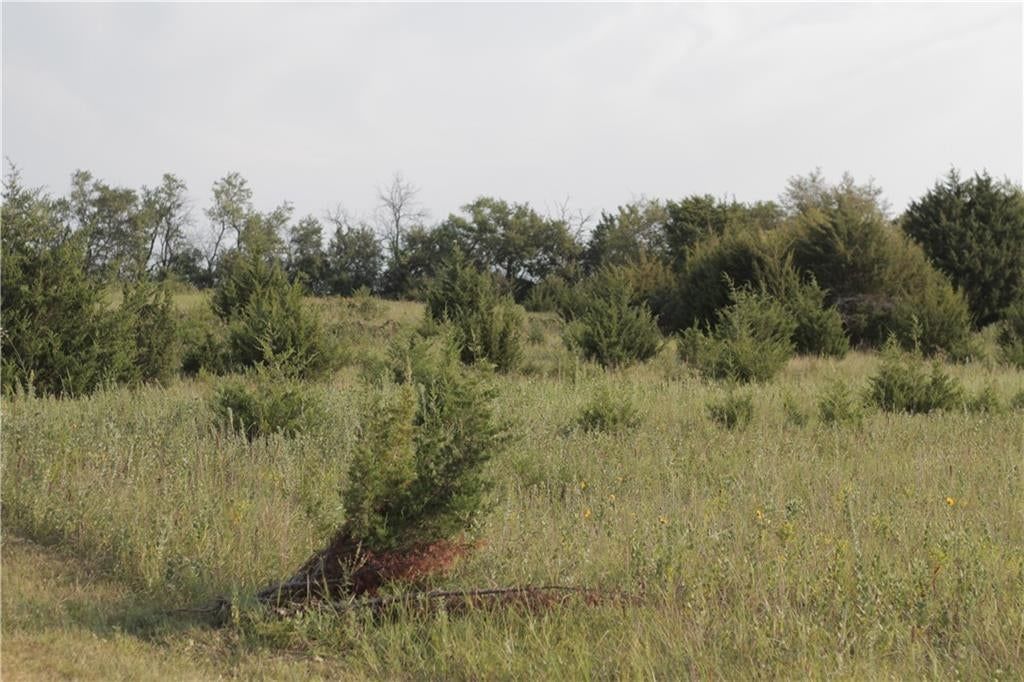 000 Texas Road — photo 38