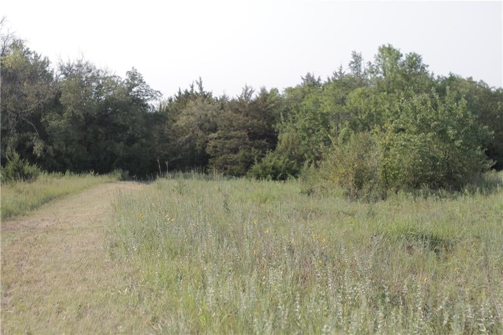000 Texas Road — photo 39