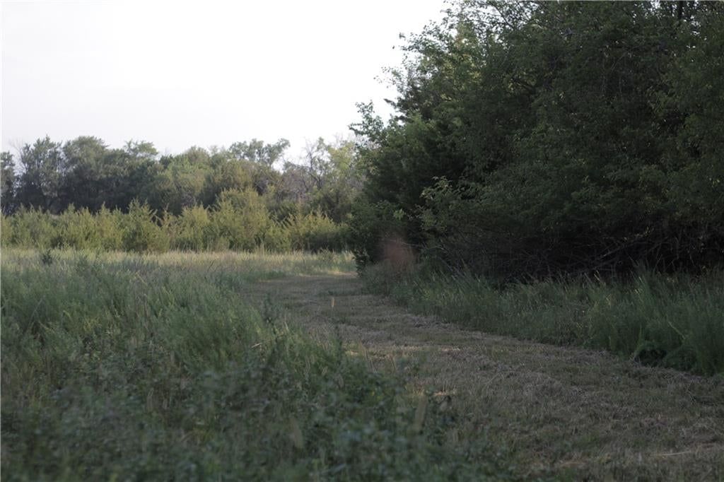 000 Texas Road — photo 40