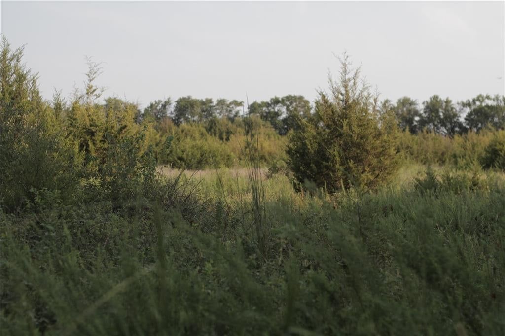 000 Texas Road — photo 41