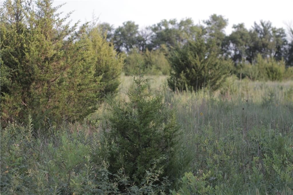 000 Texas Road — photo 43