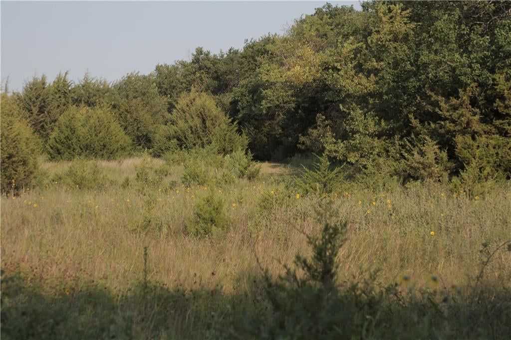 000 Texas Road — photo 45