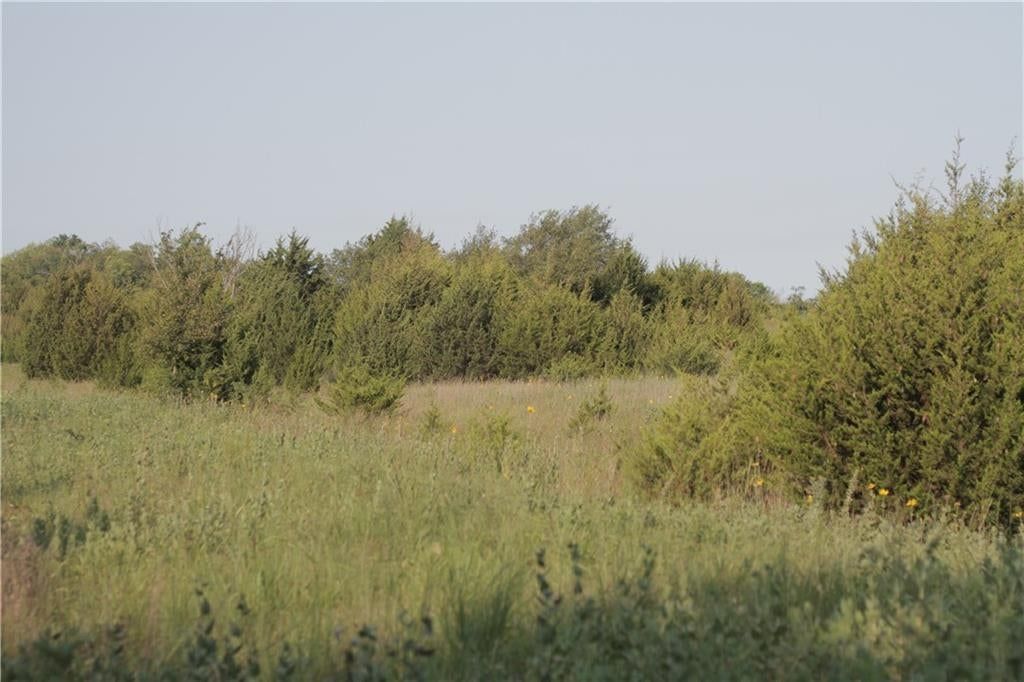 000 Texas Road — photo 46