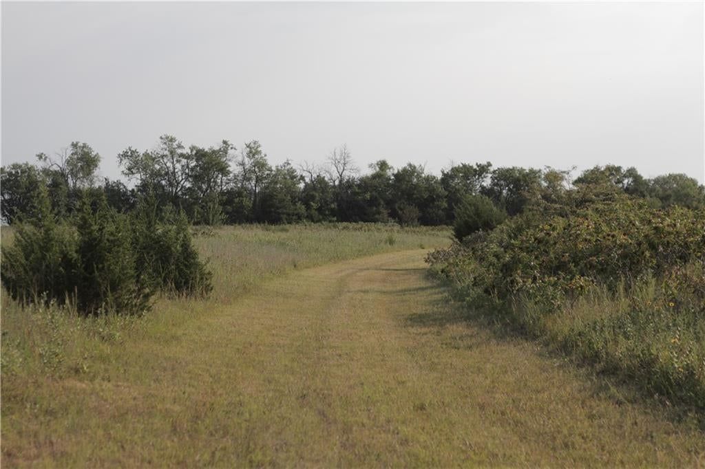 000 Texas Road — photo 47
