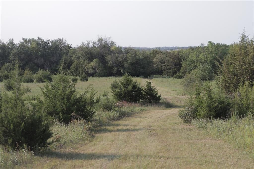 000 Texas Road — photo 48