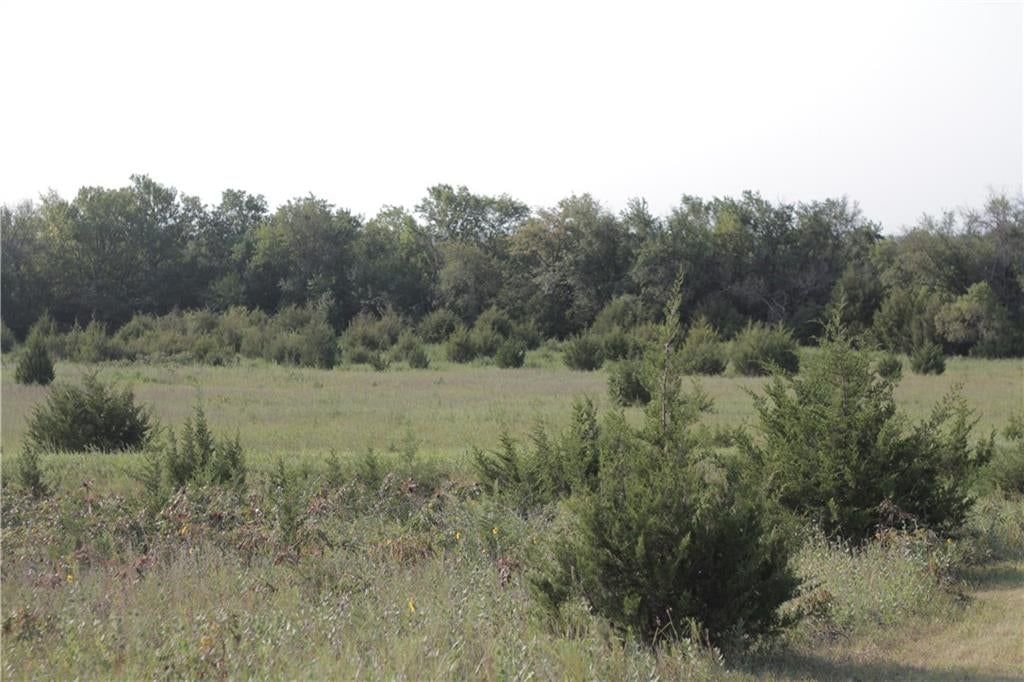 000 Texas Road — photo 49