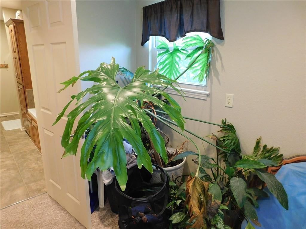 186 NE 901p Road — photo 29