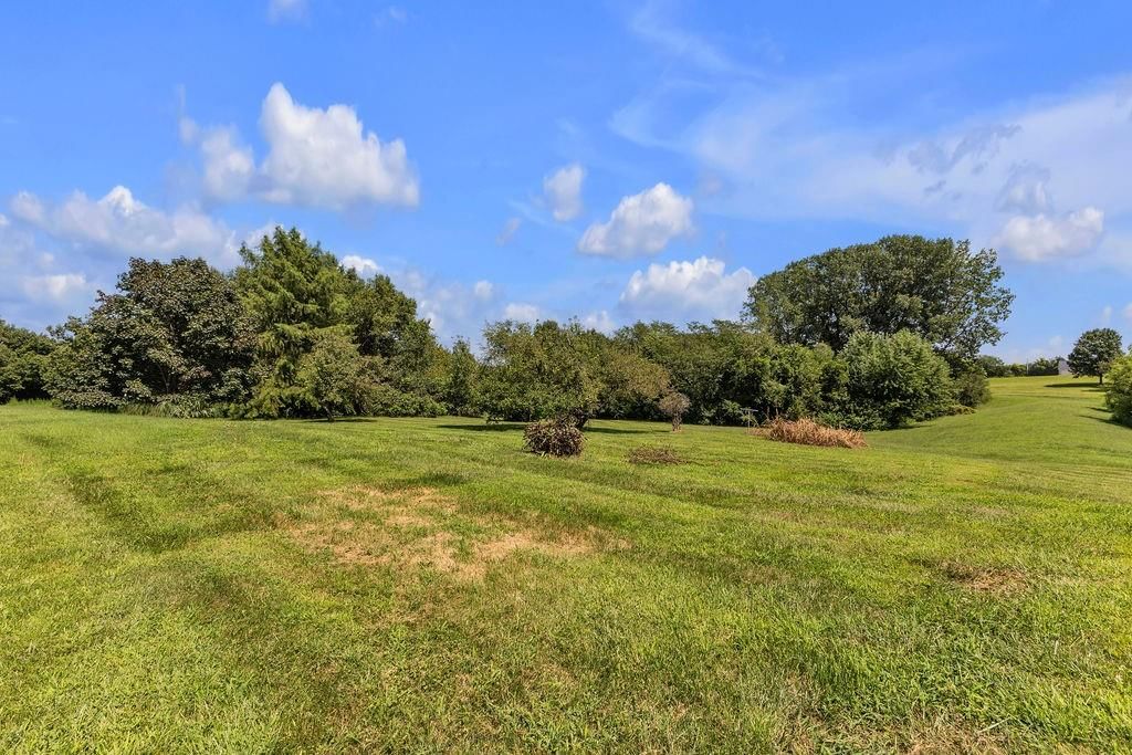 11801 County Road 162 — photo 56