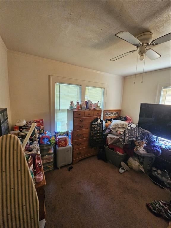 5126 Olive Street — photo 19