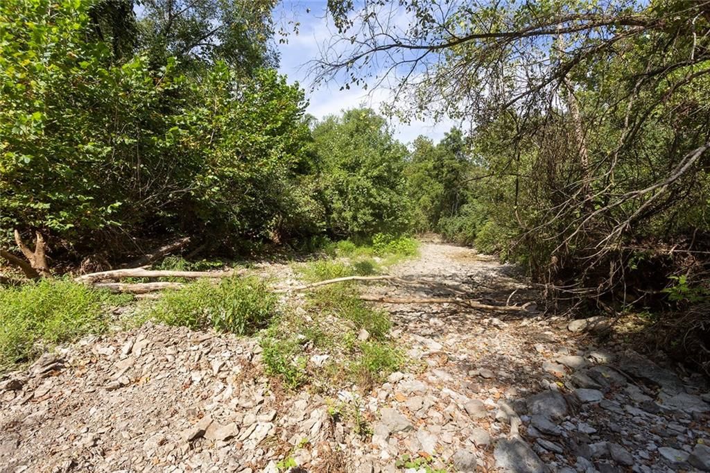 14255 Highway Y Highway — photo 20