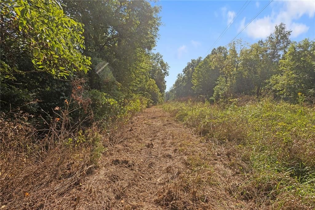 14255 Highway Y Highway — photo 22