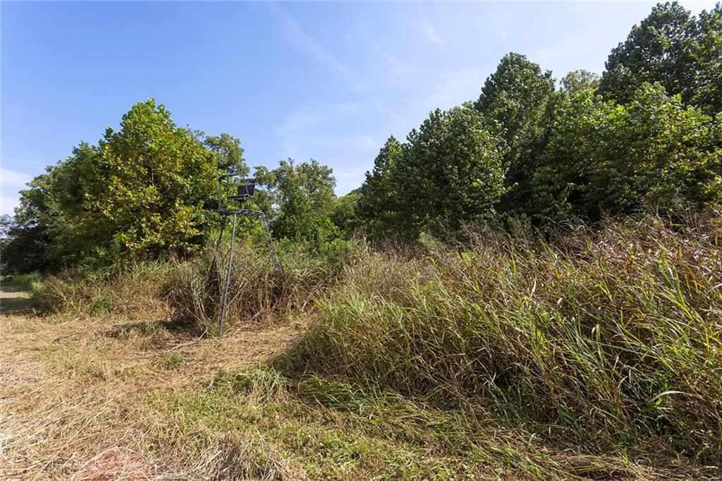 14255 Highway Y Highway — photo 31