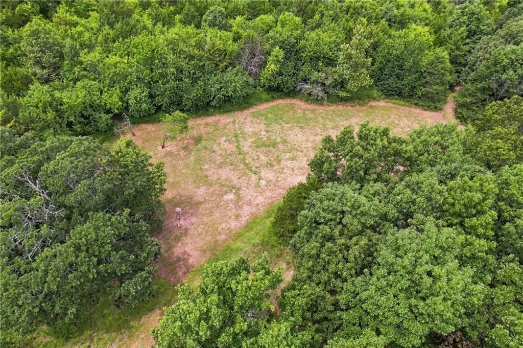 30405 Oak Grove Road — photo 5