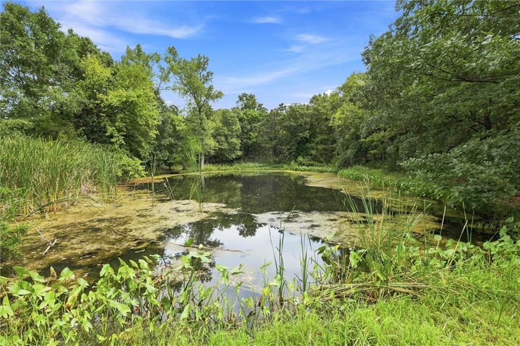 30405 Oak Grove Road — photo 11